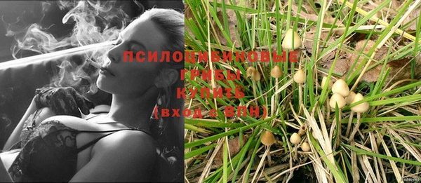 герыч Алзамай
