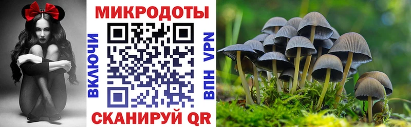 Галлюциногенные грибы Psilocybe  цена наркотик  ОМГ ОМГ зеркало  Нарьян-Мар 